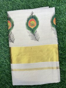 TISSUE MURAL PRINT SAREE