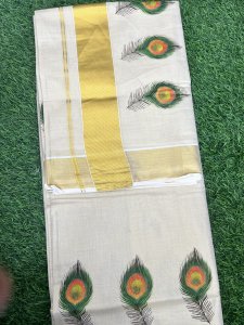 TISSUE MURAL PRINT SAREE